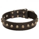 コニカル・スタッズ付き革の首輪