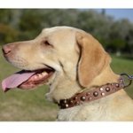 スタッズで装飾された本革製犬の首輪（カラー）