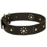 犬の散歩用本革デコカラー