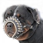 スパイク＆スタッズ付き本革製犬用口輪