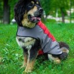 犬用ナイロンのジャケット・ハーネス