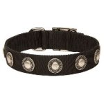 銀色のコンチョ付きナイロンの首輪