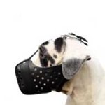 グレートデーン向けの訓練用本革製口輪