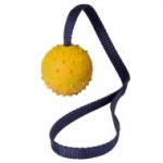 中空のラバーボール (5 cm)