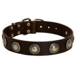 銀色のコンチョ付き革の犬用首輪