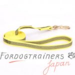 大型犬・中型犬用犬用リード　キラキラ黄色　ナイロン製　180cm