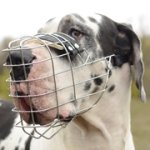 大型犬用バスケット型口輪