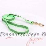 大型犬の訓練用ラバーリード　緑　180cm
