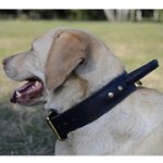 中・大型犬の訓練用ハンドル付き首輪