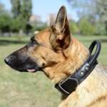 犬訓練用 本革製首輪 ハンドル付き