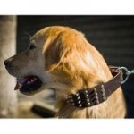 金属製装飾付き　犬用首輪