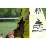 新製品！犬訓練用ブラインド