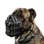 カネコルソ用メッシュタイプ革製マズル