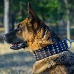 四列のスパイク付きのレザー首輪