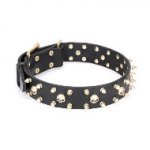 FDT Artisan かっこいい犬用首輪（ゴールド）