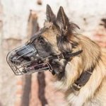 犬用のワイヤー製口輪