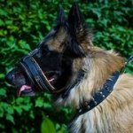 柔らかいパディング付き　革製　犬用マズル