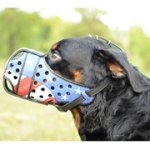 中・大型犬用革のデコ・マズル