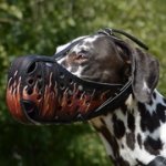 中・大型犬用革製のデコ・マズル