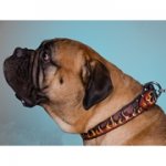 「炎」の模様で装飾された犬用本革首輪