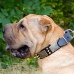 ゴールデンスパイク・真鍮プレート付きシャー・ペイ首輪