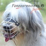 サウス・ロシアン・シェパード・ドッグ用バスケット型口輪