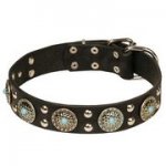 犬の散歩用コンチョ付き本革首輪