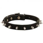 １連のスパイク付き中型犬用首輪