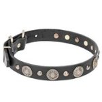 真鍮コンチョ＆スタッズ付き　革製首輪