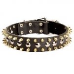 ゴールデンスパイク・玉スタッズ付き首輪