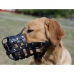 ゴールデン・レトリバーのような大型犬向けの革製口輪