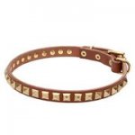 真鍮製スタッズ付き本革製首輪