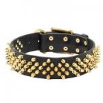 大型犬用金色のスパイク付き本革首輪