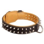 犬用スパイク・カラー（ナッパ革の裏打ち付）