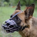 ベルジアン・シェパード・ドッグ（マリノア）用ワイヤー製口輪