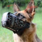 ジャーマン・シェパード・ドッグ用デコ・マズル