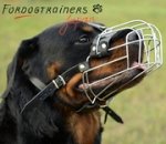 ロットワイラー用ワイヤー製口輪