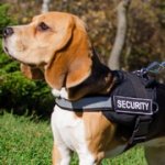 反射のナイロン製ビーグル犬用ハーネス　