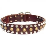 玉・コニカルスタッズ付き犬用首輪