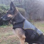 犬用ナイロンのジャケット型ハーネス