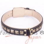 犬の散歩用デザインカラーをおすすめ！