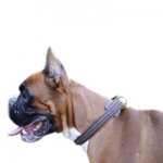 中・大型犬用デコ・カラー【本革製品 】