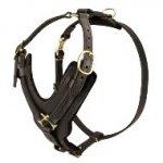 革の犬用ハーネス　中型犬・大型犬用