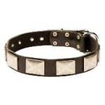 幅広いプレート付き革の首輪