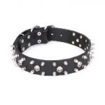 FDT Artisan かっこいいデザイン首輪