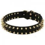 犬用首輪　二列の真鍮スパイク付き