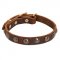Small Leather Collar with Brass Studs