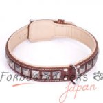 犬の散歩用デザインカラーをおすすめ！