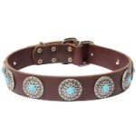 コンチョ付きのファンシーな革製首輪