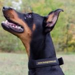 犬用首輪（ナイロン製）